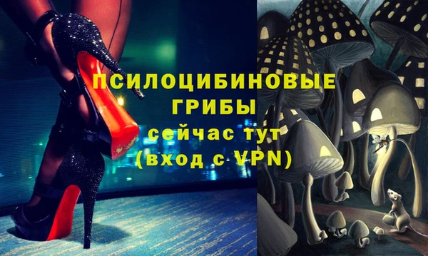 МДПВ Козловка